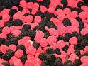 D0103_IMG_3789a aa